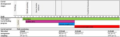 Molecular Taxonomic Profiling of Bacterial Communities in a Gilthead Seabream (Sparus aurata) Hatchery